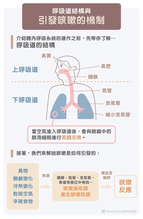 緩解咳嗽的方法|咳嗽怎麼辦？如何自我緩解？何時要立即就醫？醫師圖。